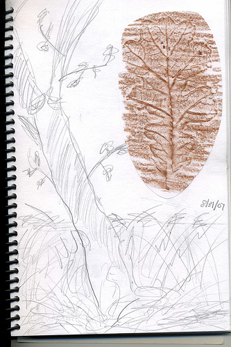 Oak nature journal