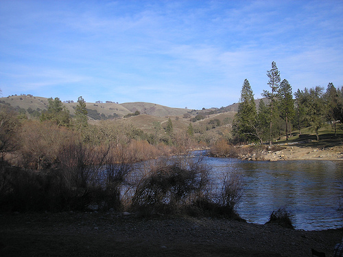 American River 1