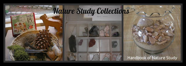 Nature+Study+Collection+Button.jpg