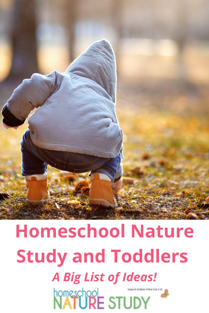 If you are wondering about nature study and toddlers, here is a BIG list of ideas for your homeschool. It's all about getting outside!