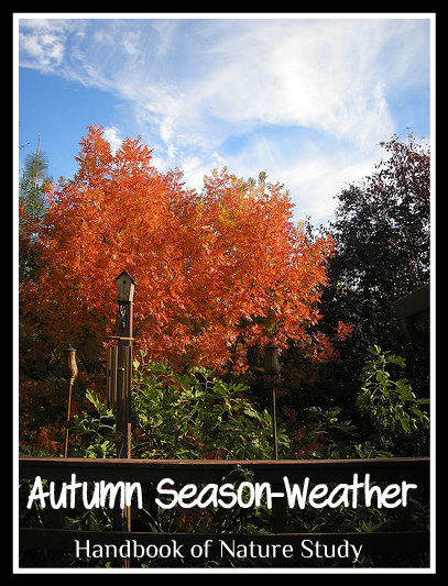 Autumn weather nature study @handbookofnaturestudy.blogspot.com