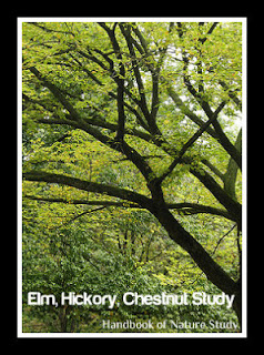 https://naturestudyhomeschool.com/2008/11/outdoor-hour-challenge-38-elm-hickory.html