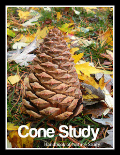 https://naturestudyhomeschool.com/2009/02/winter-wednesday-trees-cones.html