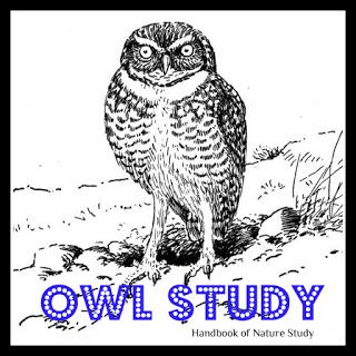 https://naturestudyhomeschool.com/2013/02/outdoor-hour-challenge-owl-study.html