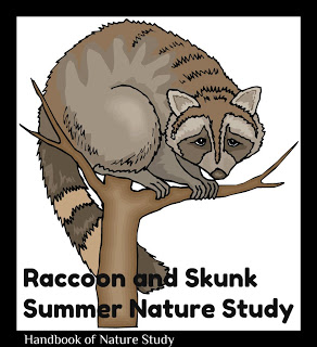 https://naturestudyhomeschool.com/2010/09/ohc-summer-serie-12-raccoons-and-skunks.html