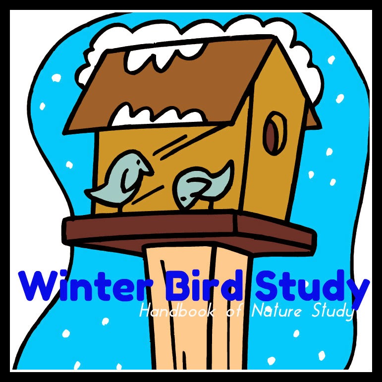 Winter+Bird+Study+@handbookofnaturestudy.blogspot.com.jpg