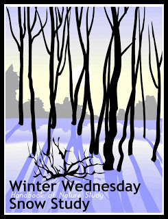https://naturestudyhomeschool.com/2009/01/winter-wednesday-snow.html