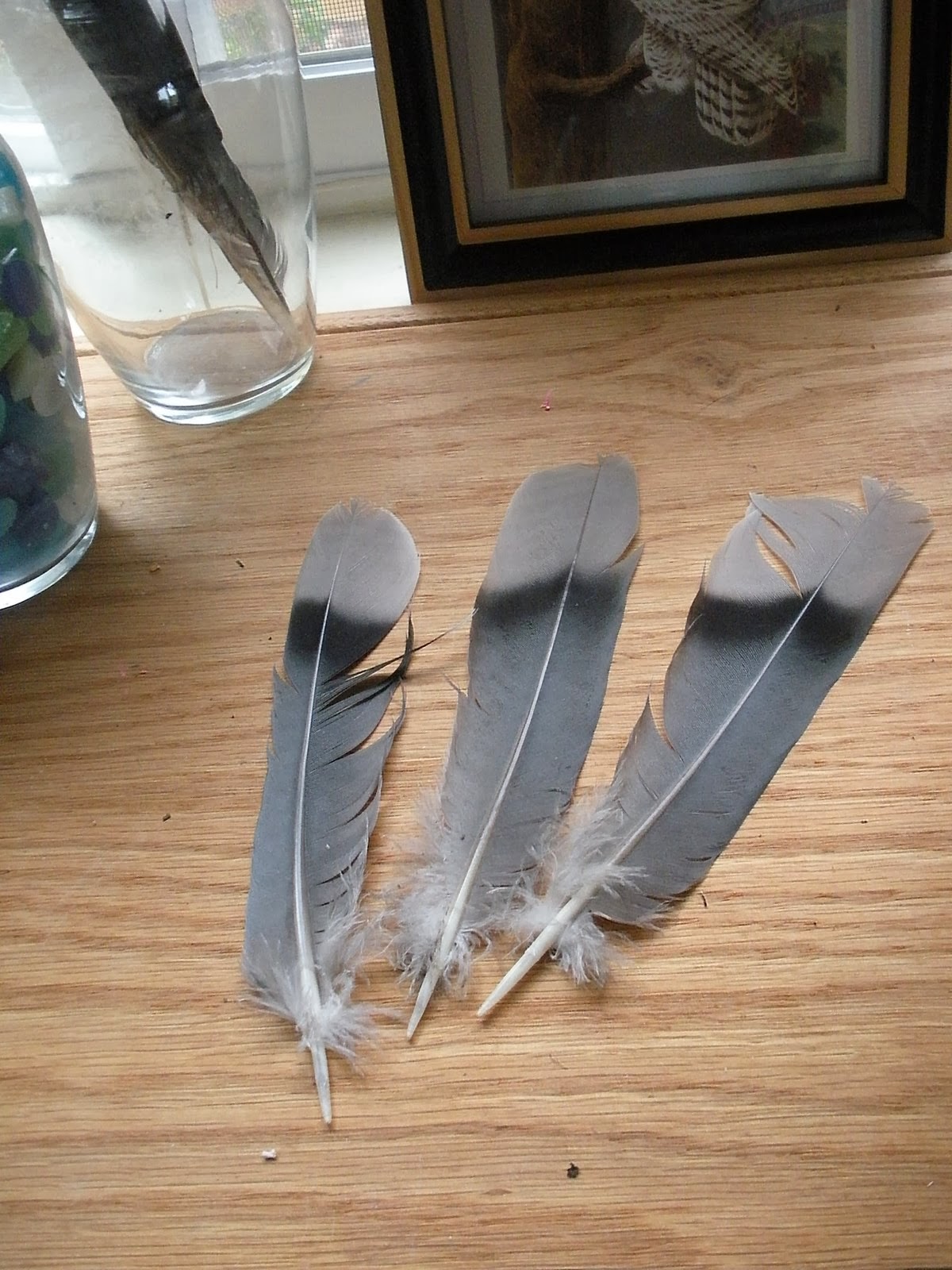 Feathers+on+nature+table.jpg