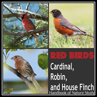 https://naturestudyhomeschool.com/2009/03/outdoor-hour-challenge-birds-robin.html