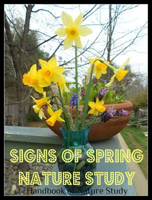 Signs+of+Spring+Nature+Study+@handbookofnaturestudy.blogspot.com.jpg