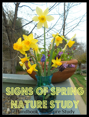 https://naturestudyhomeschool.com/2010/03/outdoor-hour-challenge-signs-of-spring.html