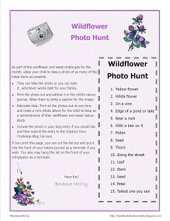 Wildflower+Photo+Hunt+@handbookofnaturestudy.blogspot.jpg