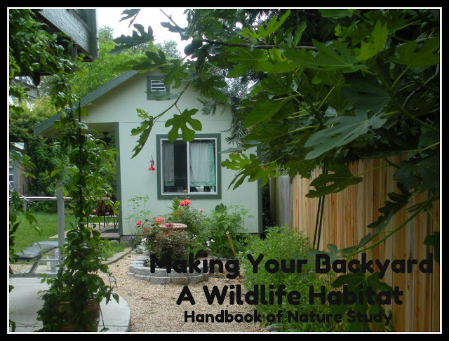 Making+your+backyard+a+wildlife+habitat+@HBNatureStudy.jpg
