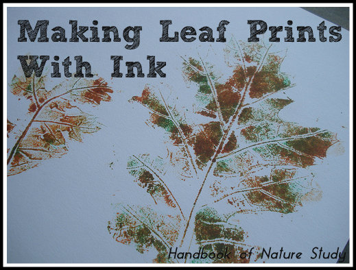 Making Leaf Prints Ink @handbookofnaturestudy