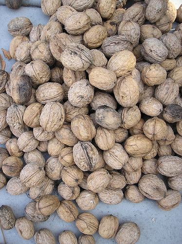 Pile of Walnuts