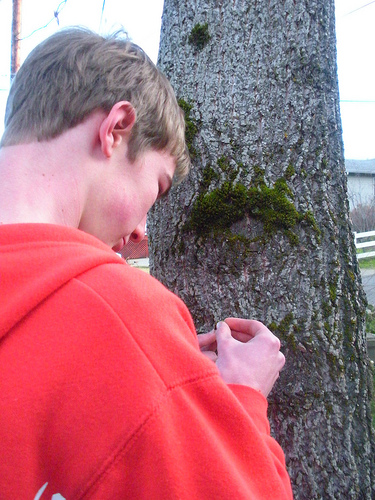 looking at the moss on the trunk