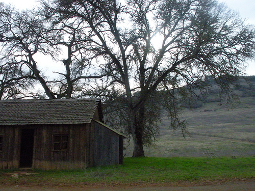 Cronan Ranch 4 Homestead and Oaks