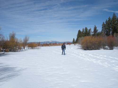 Snowshoe Jan 2010