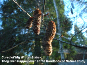 Cure for the Winter blahs @handbookfofnaturestudy