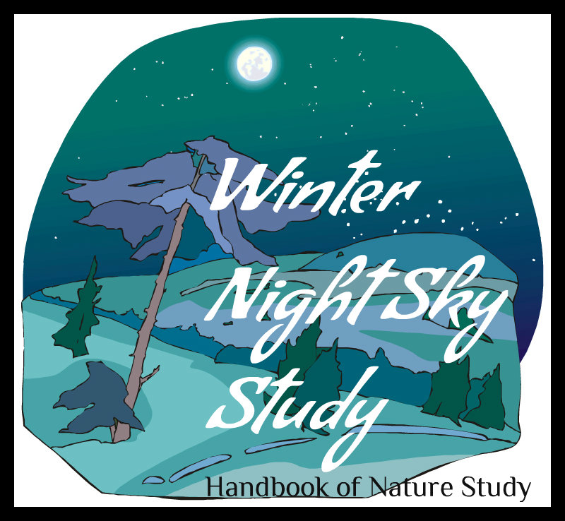 winter night sky study @handbookofnaturestudy.blogspot.com