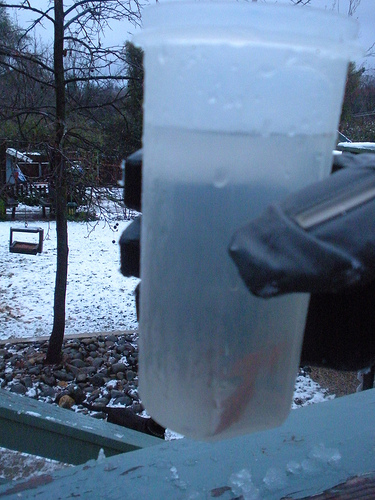 Rain and Snow Frozen in our "Gauge"