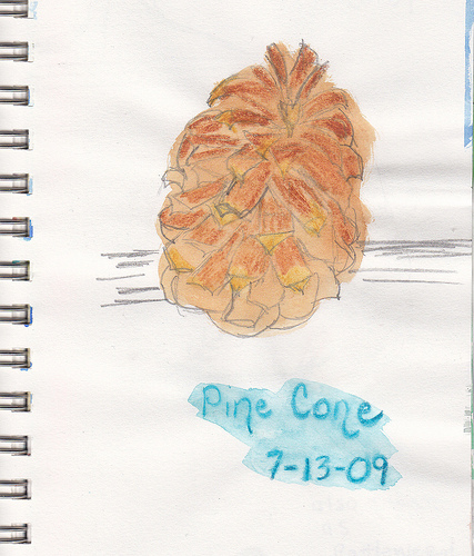 Pine cone 7 13 09