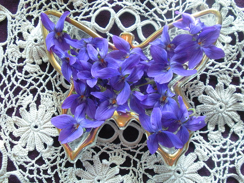 Violets in My Butterfly Dish