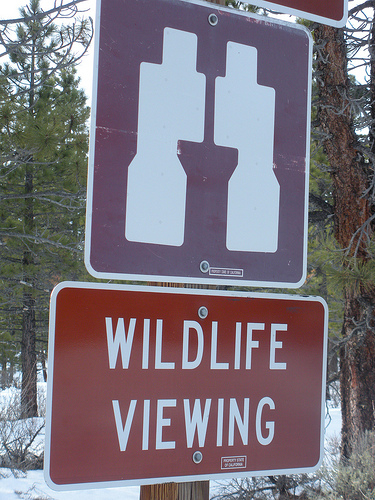 Wildlife Viewing Sign