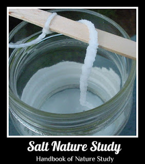 Salt+Nature+Study+button.jpg
