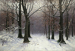 Müller-Kurzwelly, Waldlandschaft in Winter