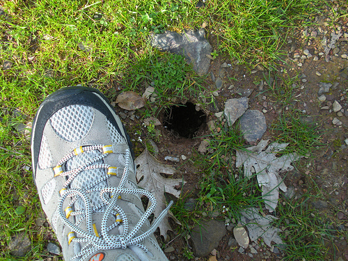 critter hole in the trail