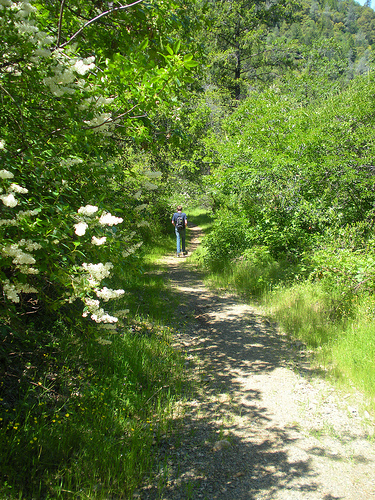 Red Shack Trail