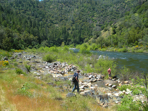 American River