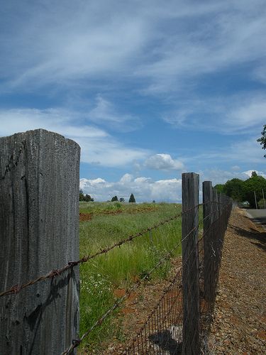 Apple Hill Sky with clouds