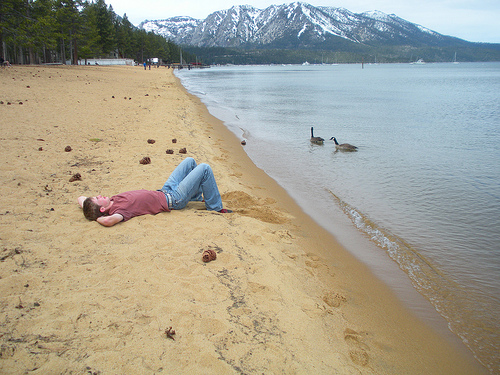 Sand Angels and Canadian Geese