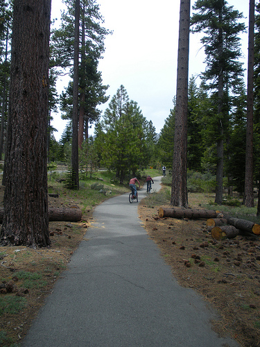 Riding Bikes 