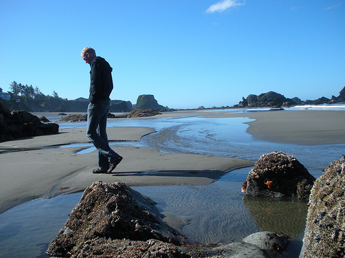 Mr D at the tidepool