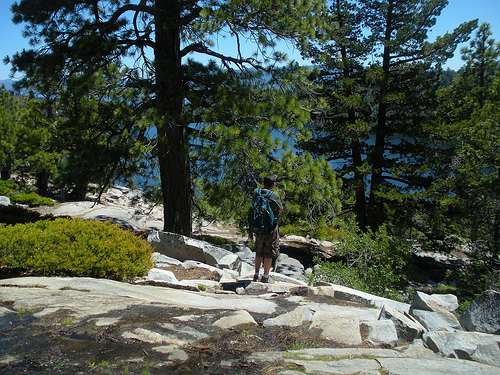 Cascade Falls Looking to Tahoe