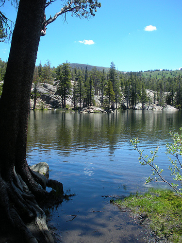 Woods Lake 2
