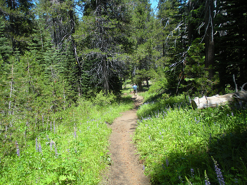 Hike to McGurks Meadow