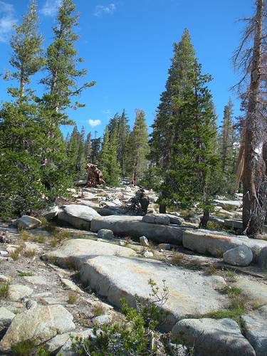 May Lake Trail 1