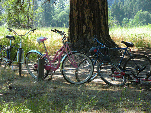 Yosemite Valley Bikes