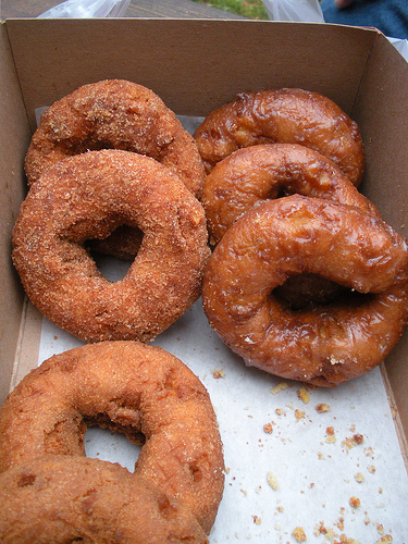 Apple Doughnuts 