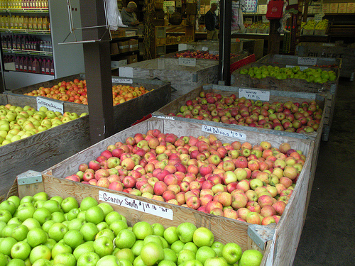 Apples in Bins High Hill Ranch