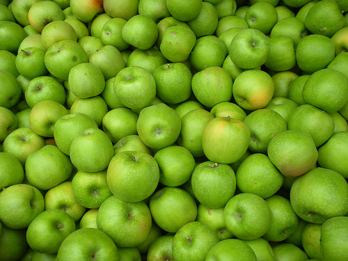 Granny Smiths in Bins 