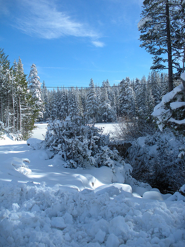 Snow at Boreal 11 11 10