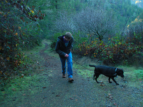 Red Shack 12 16 10 Hiking Uphill