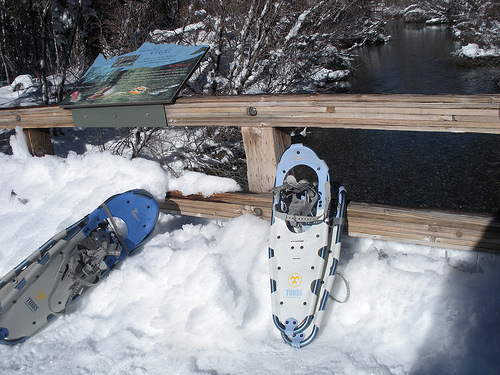 1 6 11 Snow Shoes at Taylor Creek