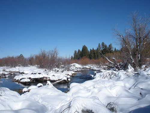 1 6 11 Taylor Creek with Snow