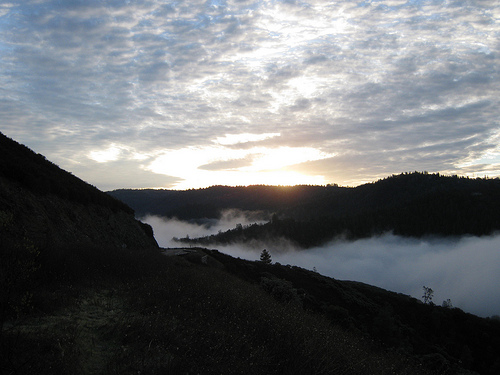 Sunrise in American River Canyon With Fog
